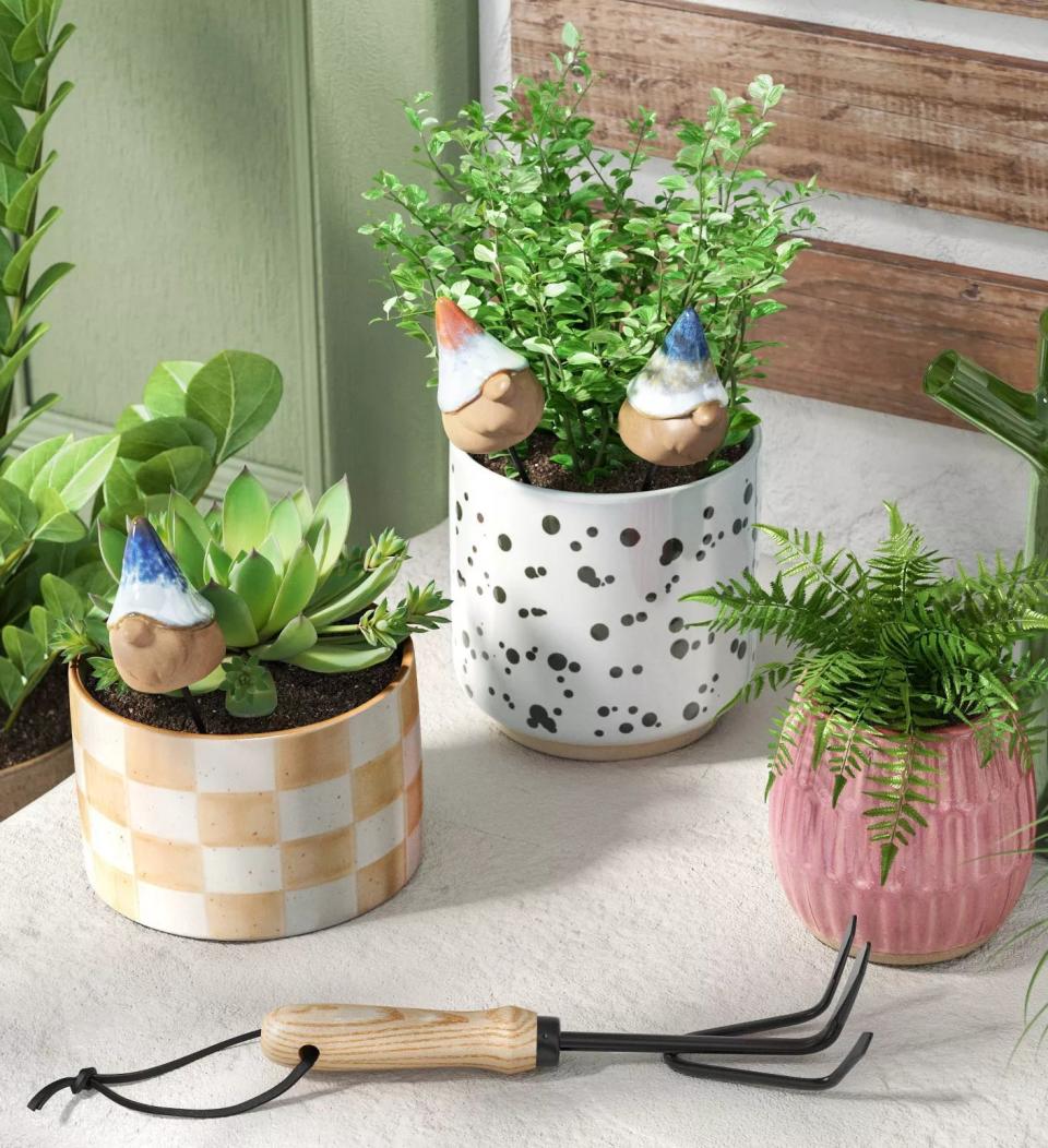 Three decorative gnome planters in plant pots