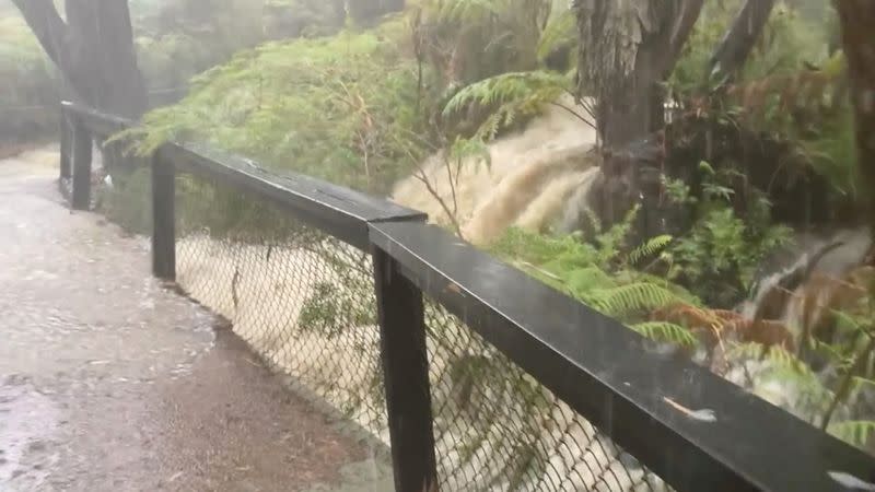 Inundaciones durante las fuertes lluvias en el Parque de Reptiles Australianos en Somersby, Nueva Gales del Sur, Australia, el 17 de enero de 2020.