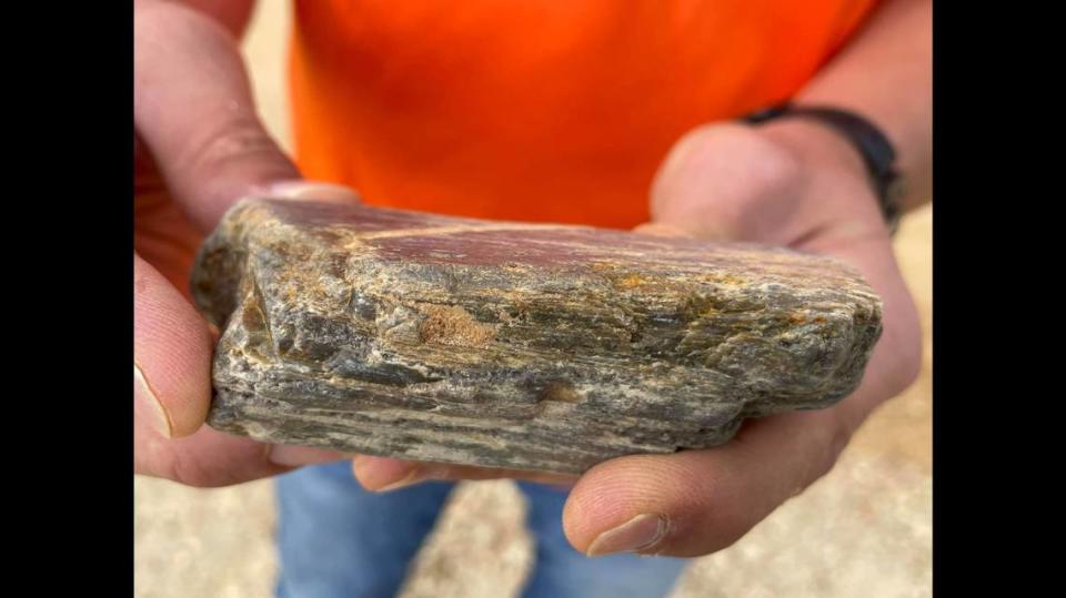 This bit of rock found in central Mississippi is the first of its kind in the state: A piece of petrified wood tied to glaciers.