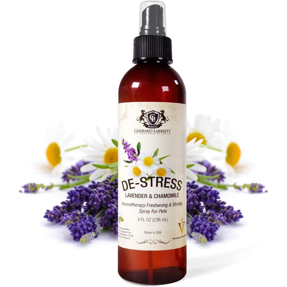 <p><a href="https://www.amazon.com/Chamomile-Aromatherapy-Freshening-Pet-Eliminator/dp/B00J3XGFZO/?tag=syn-yahoo-20&ascsubtag=%5Bartid%7C10070.g.43804119%5Bsrc%7Cyahoo-us" rel="nofollow noopener" target="_blank" data-ylk="slk:Shop Now;elm:context_link;itc:0;sec:content-canvas" class="link ">Shop Now</a></p><p>Lavender & Chamomile Aromatherapy Freshening & Shining Spray</p><p>$12.00</p><p>Amazon</p><span class="copyright">Product Shot Image</span>