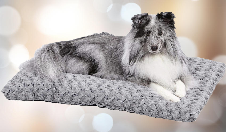 You're going to have to tear your pup away from this cozy bed. (Photo: Amazon)