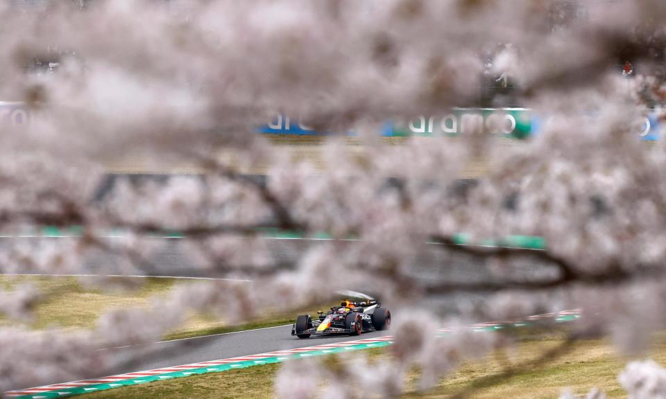 <span>Max Verstappen is seen through cherry blossoms during qualifying at Suzuka.</span><span>Photograph: Issei Kato/Reuters</span>