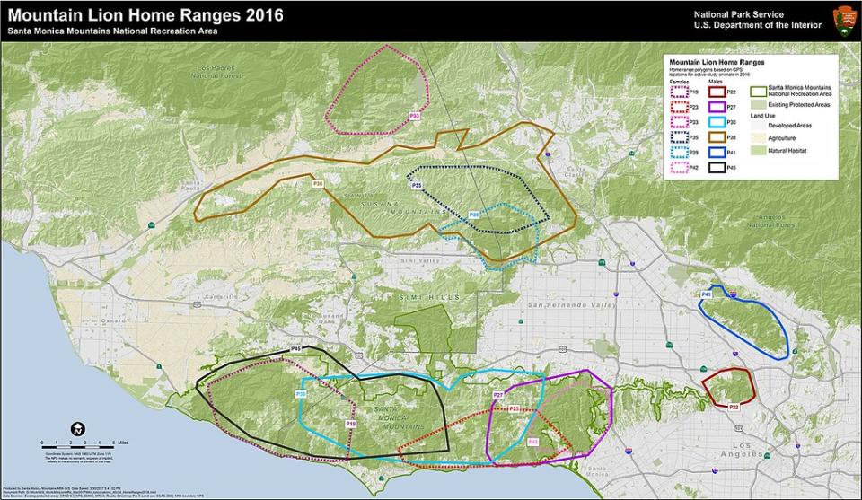 P-22的活動區域 圖片來源：National Park Service