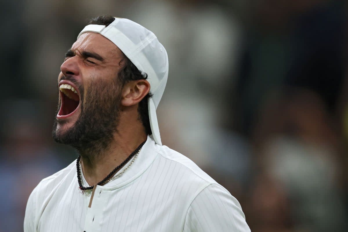 Berrettini will take on top seed Alcaraz (Getty Images)