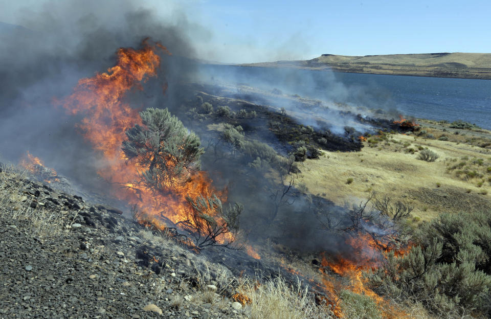 FILE - In this Aug. 5, 2015, file photo, wildfire consumes sagebrush as firefighters let it march down to the Columbia River in Roosevelt, Wash. Federal officials have released a plan to save sagebrush habitats in Western states that support cattle ranching, recreation and 350 wildlife species, including imperiled sage grouse. Officials say the 248-page document released this month is a paradigm shift relying on advances in technology and analytics to categorize sagebrush areas based on resistance and resilience to wildfire. (AP Photo/Don Ryan, File)