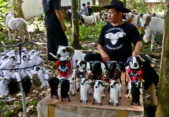 Memorabilias: I meet Pak Agus, who has set up a small stall selling trinkets based on the domba theme – key chains and stuffed domba toys. (