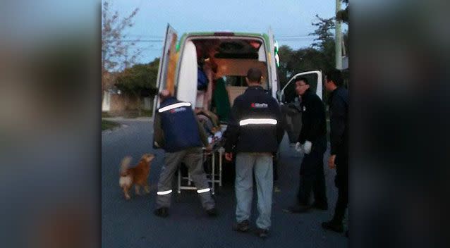 Toby continues to keep a close watch on Jesus as he is loaded into an ambulance. Photo: Facebook