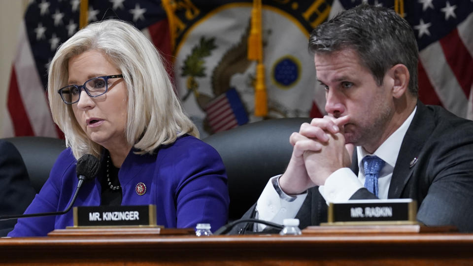 Liz Cheney and Adam Kinzinger