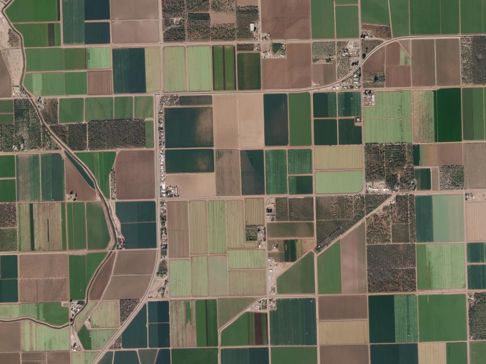 Warm weather crops such as dates thrive along the lower reaches of the Colorado River in Bard, California, USA on Jan 25, 2020. (Photo: Planet)

