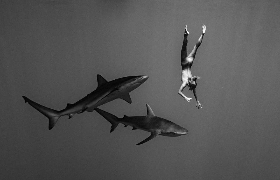 model naked photo shoot with sharks