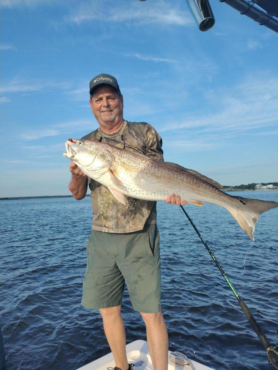 Dennis Scott with a redfish that buried the hand-held scale at 50 pounds. He and Steve West had a banner day recently in the St. Augustine Inlet, catching and releasing about two dozen over-slot reds. They were using blue crab and cut mullet.