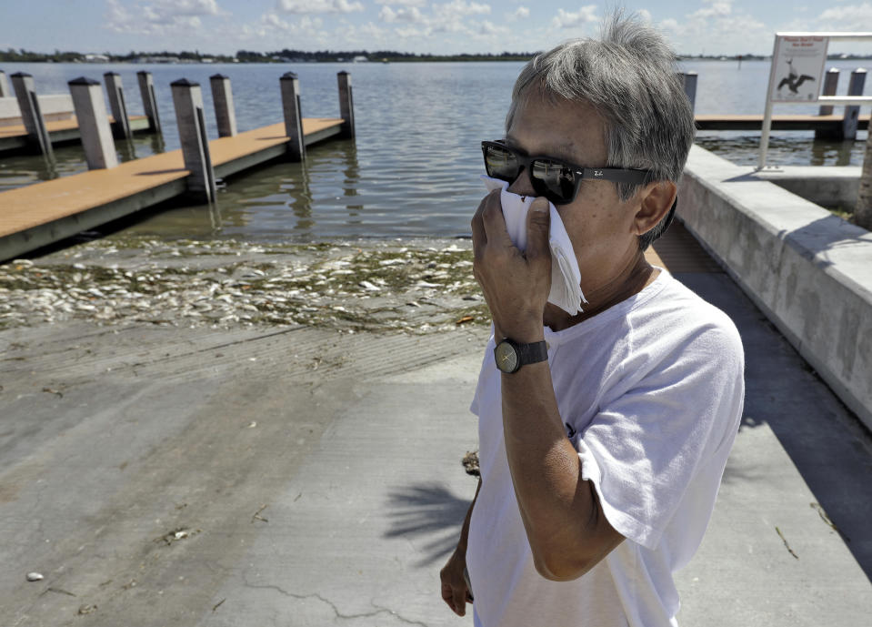 In this Monday Aug. 6, 2018 photo, Alex Kuizon covers his face as he stands near dead fish at a boat ramp in Bradenton Beach, Fla. From Naples in Southwest Florida, about 135 miles north, beach communities along the Gulf coast have been plagued with red tide. Normally crystal clear water is murky, and the smell of dead fish permeates the air (AP Photo/Chris O'Meara)
