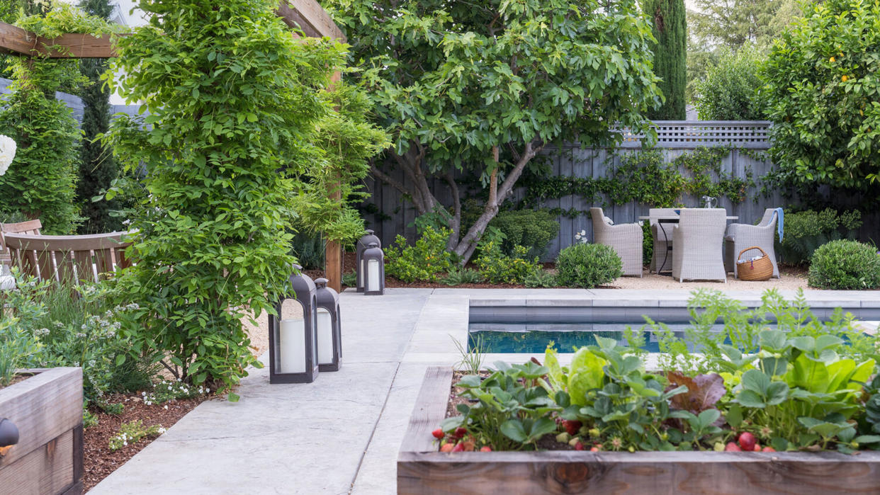  raised beds for growing vegetables around a pool in a backyard 