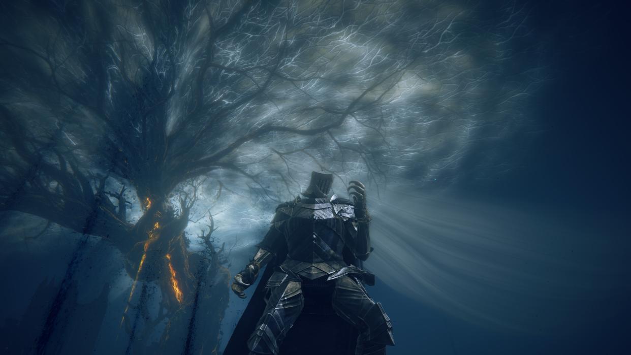  Elden Ring Shadow of the Erdtree in-game screenshot. 