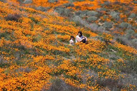 People sit in a super bloom of poppies in Lake Elsinore, California, U.S., February 27, 2019. REUTERS/Lucy Nicholson