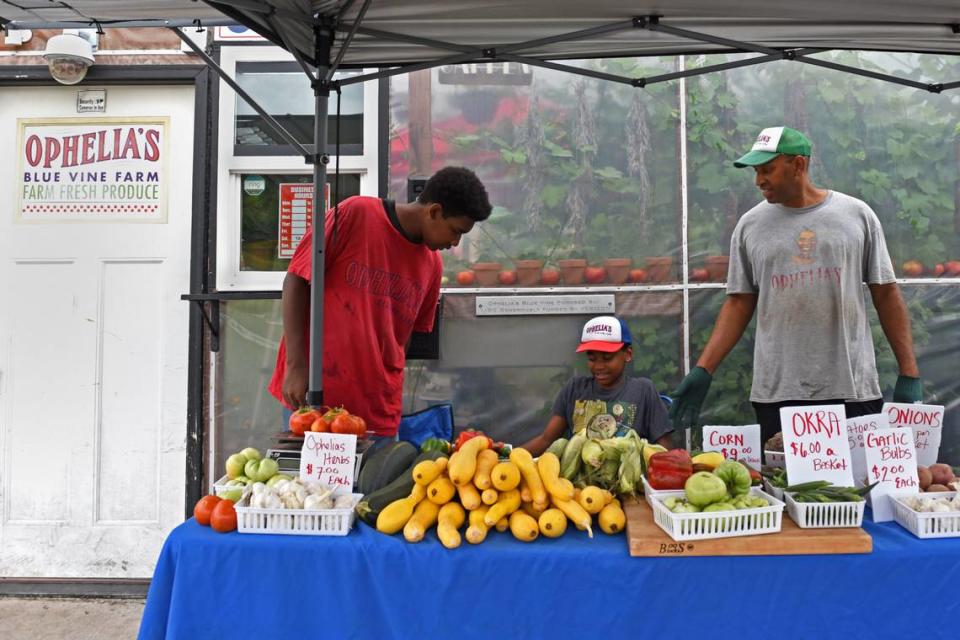 Mike Rollen, the founder of Ophelia’s Blue Vine Farm, sells produce and herbs alongside his sons Elijah Rollen, 15, and Evan Rollen, 11, outside his greenhouse at 2416 Vine Street in Kansas City. He started teaching his kids about urban farming when they were very young.