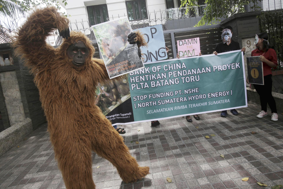 In this Friday, March 1, 2019, an activist in an orangutan costume takes part during a protest against the construction of a dam that they claimed will rip through the habitat of the most critically endangered orangutan species, outside the Chinese consulate in Medan, North Sumatra, Indonesia. Environmentalists lost a court challenge Monday to the Chinese-backed dam despite warnings from experts who said the dam will flood and in other ways alter the habitat of an orangutan species numbering only about 800 primates and likely make it impossible to take a crucial step toward ensuring the species survives. (AP Photo/Binsar Bakkara)