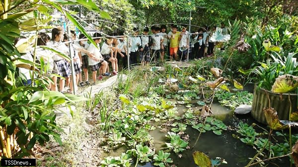 三重國小學生在校園生態池分享課程所見所得。（圖：新北市教育局提供）