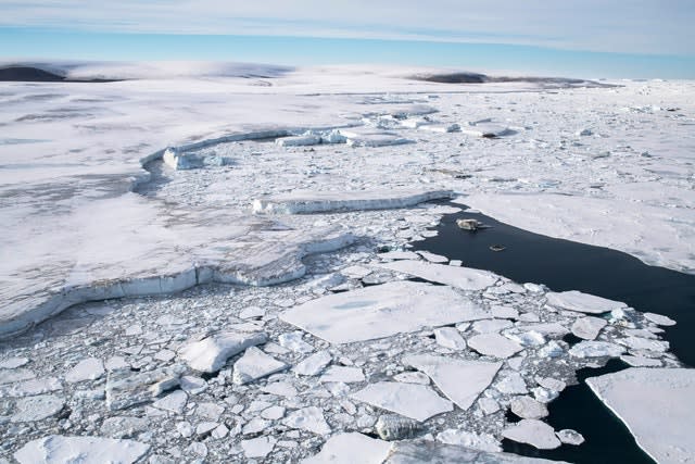 Krill fishing in the Antarctic