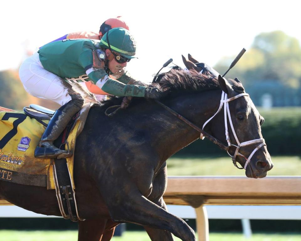 Forte won the Grade 1 Claiborne Breeders’ Futurity at Keeneland last October. Coady Photography