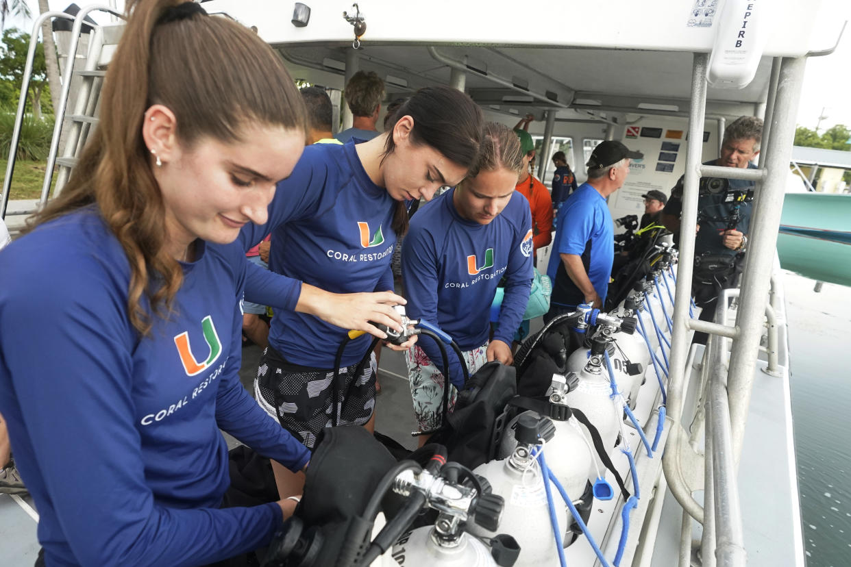 University of Miami's Rosenstiel School of Marine & Atmospheric Science students Simone Nix, 22, left, Grace Benyon, 22, center, and Jack Benham, 21, prepare their dive gear before a night dive to check on coral spawning, Monday, Aug. 15, 2022, in Key Biscayne, Fla. A group of students and scientists were hoping to observe the coral spawn and collect their eggs and sperm, called gametes, to take back to the lab to hopefully fertilize and create new coral that will later be transplanted to help repopulate part of the Florida Reef Tract, but the coral did not cooperate that night. (AP Photo/Wilfredo Lee)