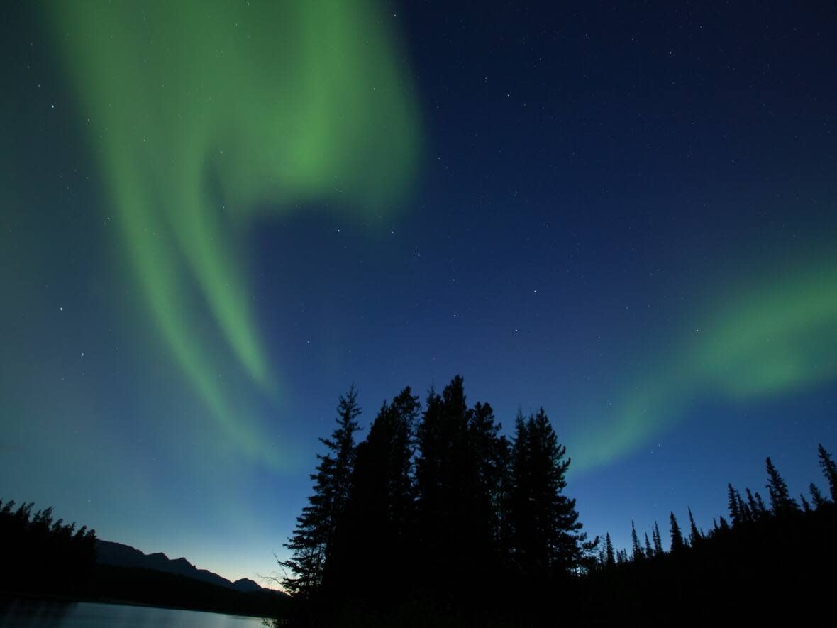 The night sky over Mayfield Lake in northern B.C. 'When I  can see the stars and the light of the stars, I feel like I'm part of something bigger than myself, and I feel comforted by that,' said Donna Kane, author of the poem On Visible Light. (Submitted/Wayne Sawchuk - image credit)