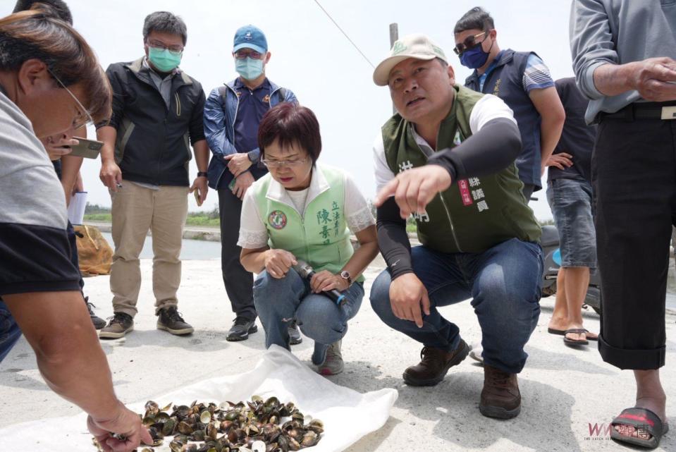 ▲受氣候不穩定因素，導致彰化縣芳苑鄉養殖的文蛤大量死亡，立委陳素月邀集農委會漁業署、水產試驗所、縣府農業處與芳苑鄉公所前往芳苑養殖魚塭會勘。（圖／記者陳雅芳攝，2023.05.24）