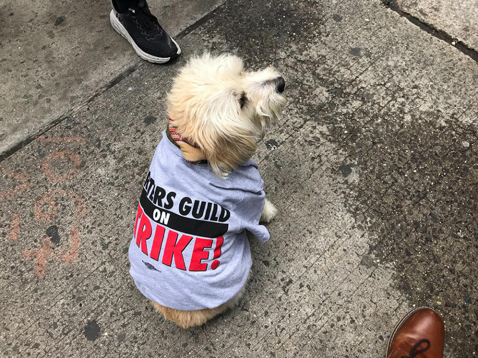 NYC picket at Peacock NewFronts