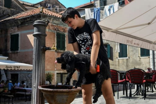 ? boy helps a dog drink water in Montenegro, as forecasters warn the sweltering temperatures are expected to spread to Eastern Europe