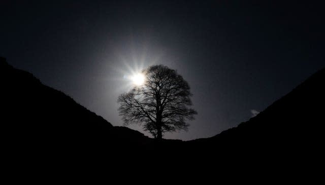 Sycamore Gap