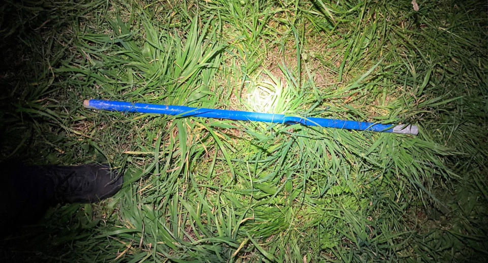 Blue stick used my dog owner in dog attack in Melbourrne