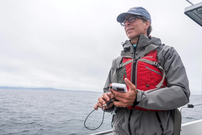 Salvador Jorgensen, professeur d'écologie marine à l'université d'État de Californie à Monterey Bay cherche du regard des requins blancs, près de Santa Cruz, en Californie, le 14 septembre 2023 (AFP - Nic Coury)