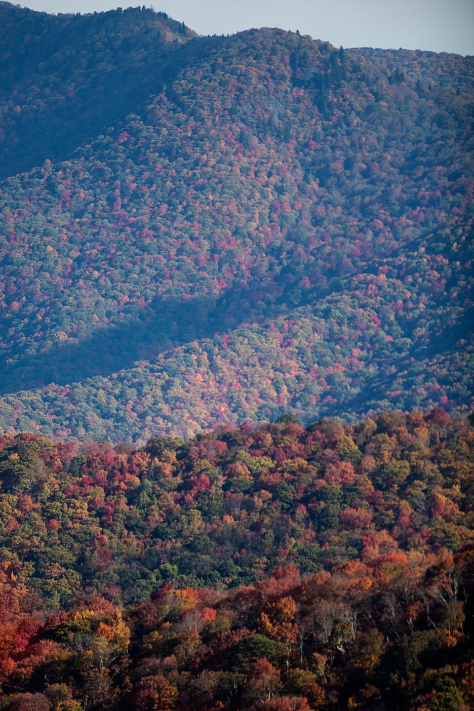 Fall color is seen from the Craggy Gardens parking lot along the Blue Ridge Parkway, October 19, 2023.