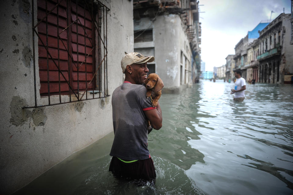 <p>A Cuban carrying his pet wades through a flooded street in Havana, on Sept. 10, 2017. (Photo: Yamil Lage/AFP/Getty Images) </p>