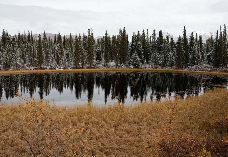 The ‘Get Away From It All’ Traveller - Top Pick: Denali National Park, Alaska