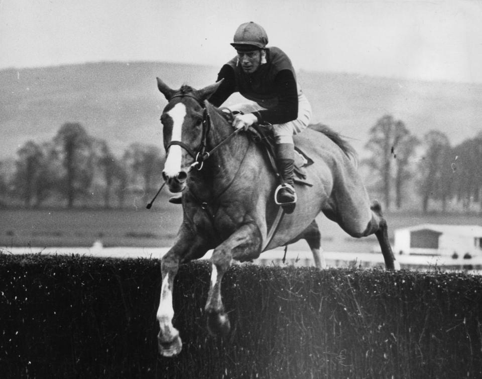 1966:  Ireland's champion jockey Pat Taaffe on the way to a 15 lengths win with racehorse 'Flyingbolt' in the National Hunt Two Mile Champion Chase at Cheltenham (Keystone/Getty Images)