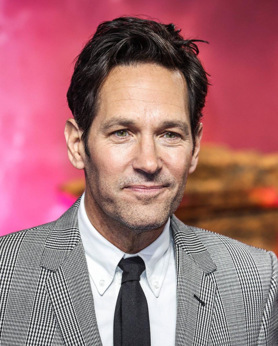 Paul Rudd's Employee Reveals Truth Behind Working For The 'Ant-Man' Actor