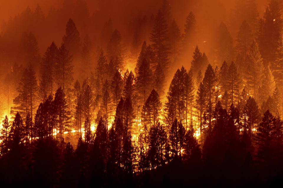 The Dixie Fire burns down a hillside towards Diamond Mountain Rd. near Taylorsville in Plumas County, Calif., on Friday, Aug. 13, 2021. (AP Photo/Noah Berger)