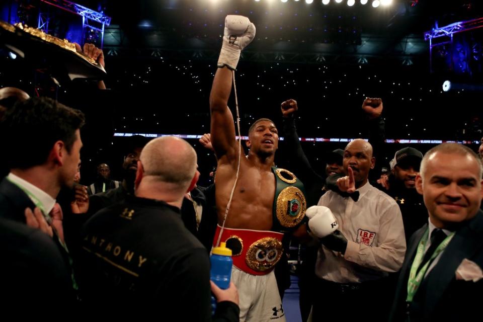 Anthony Joshua celebrates victory over Wladimir Klitschko (Nick Potts/PA) (PA Archive)