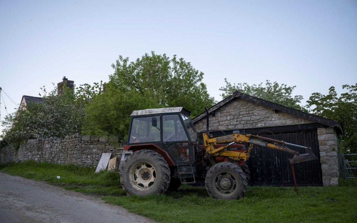 A water buffalo has claimed the lives of a father and his son - Matthew Horwood/Getty Images