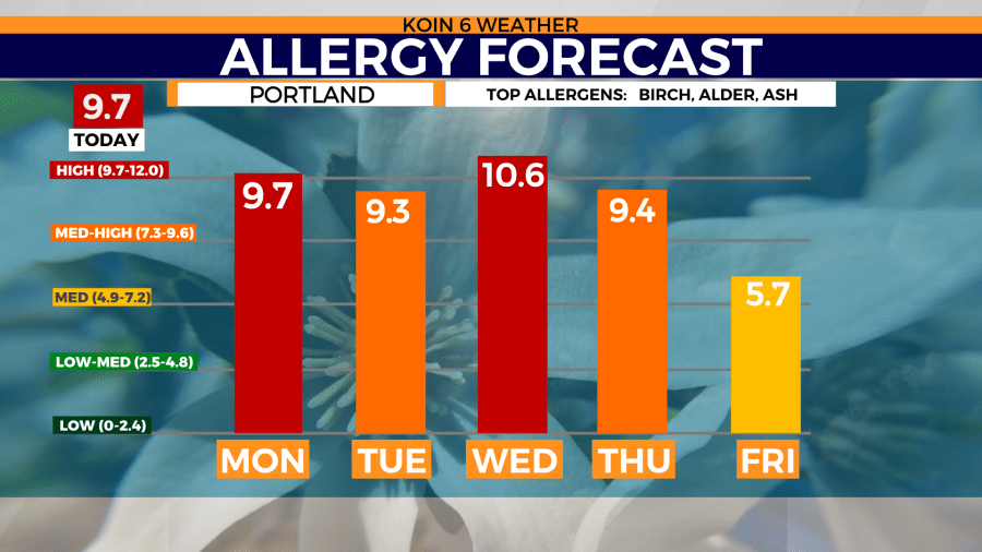 <em>Portland’s pollen counts are expected to decrease Thursday and Friday as rain returns to the forecast</em>