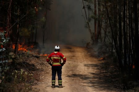 A firefighter observes a forest fire near Macao