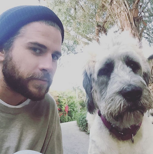 Liam Hemsworth and Dora the Explorer (Instagram)