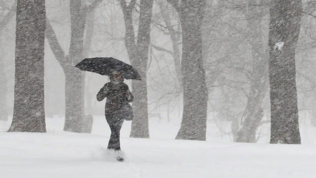 Quebec hit hard by snowstorm