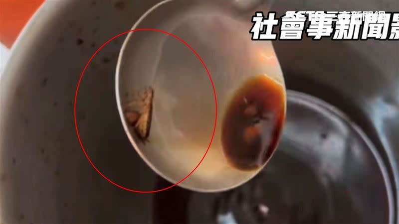 攪一攪醬鍋，半截食指大蟑螂活跳跳，手腳緊抓湯匙邊緣，用餐民眾嚇傻。（圖／翻攝社會是新聞影音畫面）