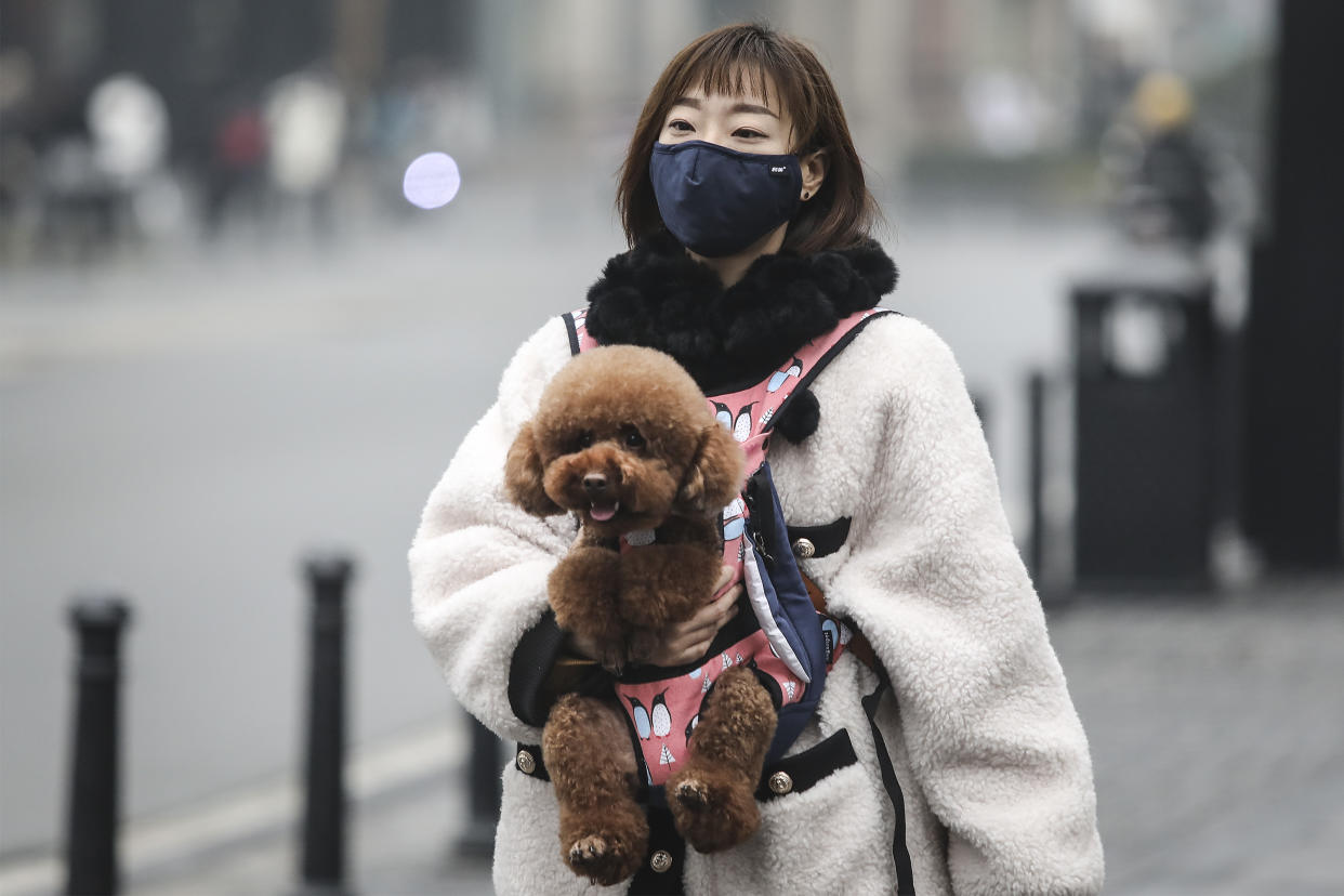 WUHAN, CHINA - JANUARY 22:  (CHINA OUT) A woman wears a mask while carrying a dog in the street on January 22, 2020 in Wuhan, Hubei province, China. A new infectious coronavirus known as "2019-nCoV" was discovered in Wuhan as the number of cases rose to over 400 in mainland China. Health officials stepped up efforts to contain the spread of the pneumonia-like disease which medicals experts confirmed can be passed from human to human. The death toll has reached 17 people as the Wuhan government issued regulations today that residents must wear masks in public places. Cases have been reported in other countries including the United States, Thailand, Japan, Taiwan, and South Korea.  (Photo by Getty Images)