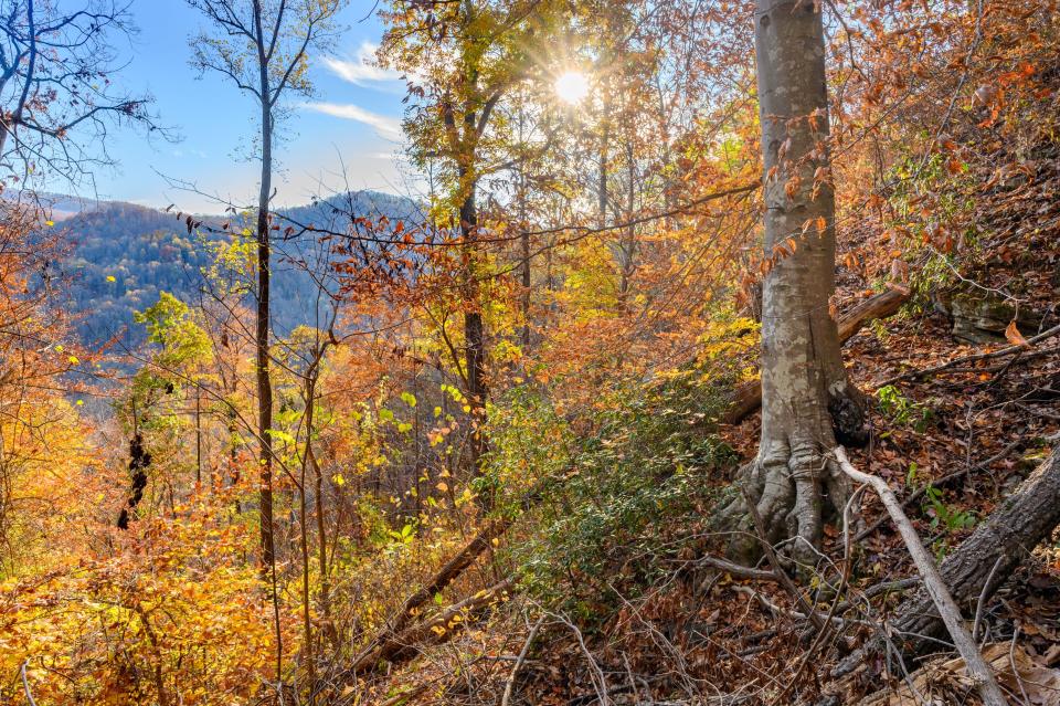 These are scenes along a trail in the Cedar Cliffs at Twin Bridges property in Polk County that Conserving Carolina is seeking to purchase.