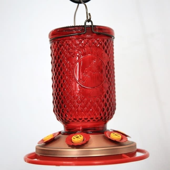 a red glass hummingbird feeder