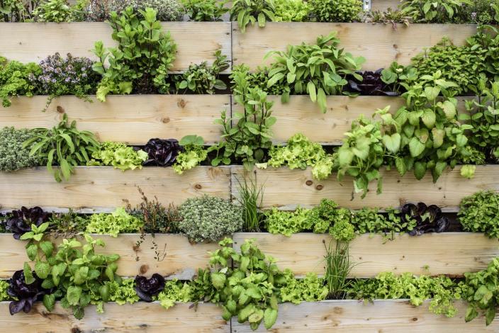 <p>If you don't have space in terms of width, the only way to go is up. Vertical gardening can be done along a wall, fence, or even roof. </p>