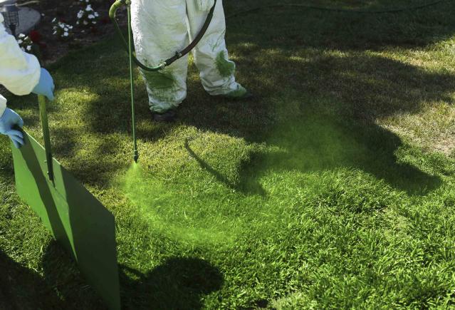 Green Canary workers apply a diluted concentrate of aqueous pigment to the front lawn of a home in San Jose, California July 24, 2014. The company said it uses the coloring application to improve property value, conserve water, and reduce maintenance costs. REUTERS/Robert Galbraith (UNITED STATES - Tags: ENVIRONMENT)